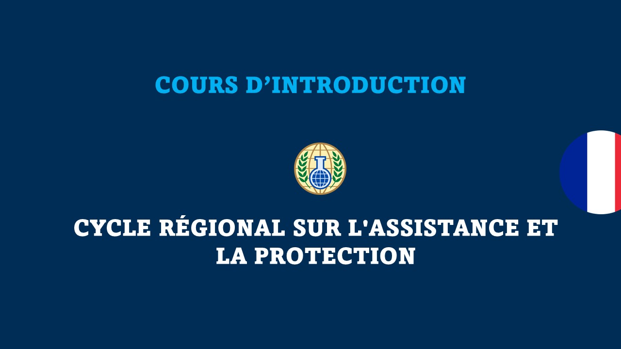 <div class="text_to_html">(Fr) Cours d'introduction - Cycle de formation sur l'assistance et la protection </div>