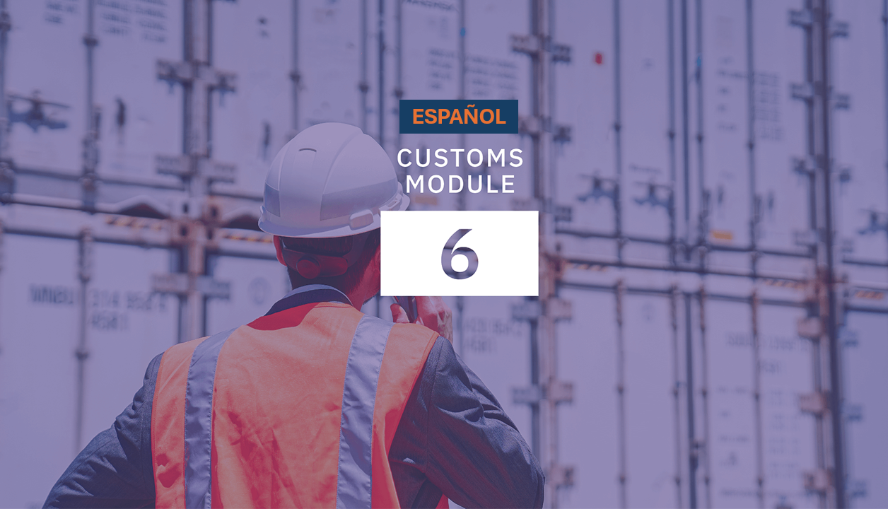 <div class="text_to_html">Cuestiones prácticas del control del comercio internacional de sustancias químicas de las Listas</div>