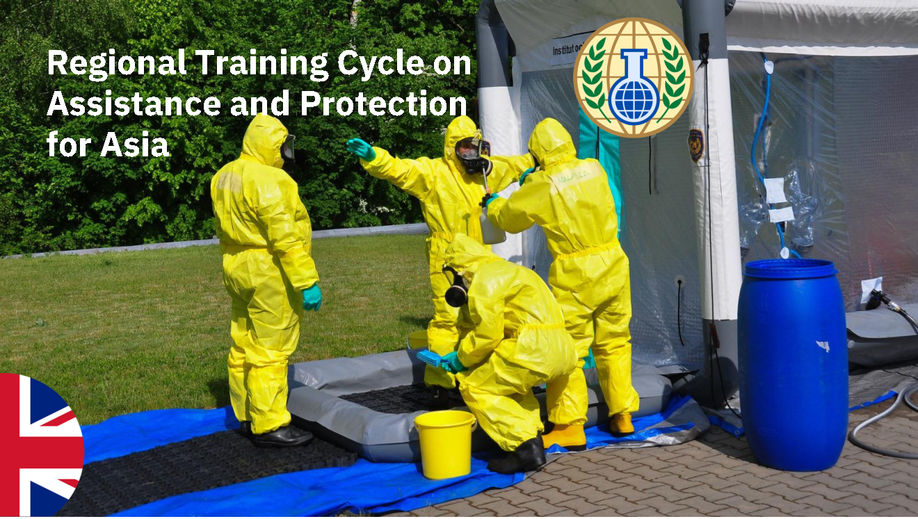<div class="text_to_html">2026 Regional Training Cycle on Assistance and Protection for Asia - Online Course</div>