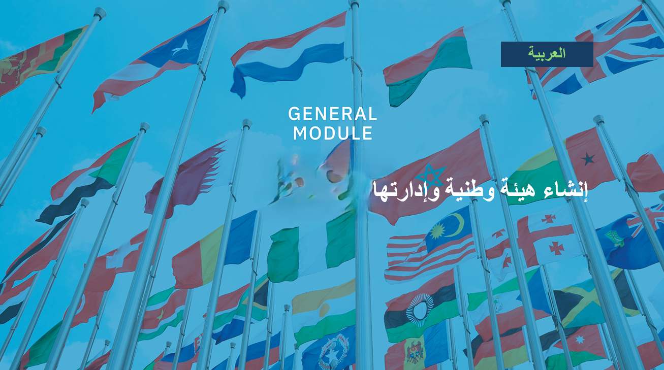  إنشاء هيئة وطنية وإدارتها