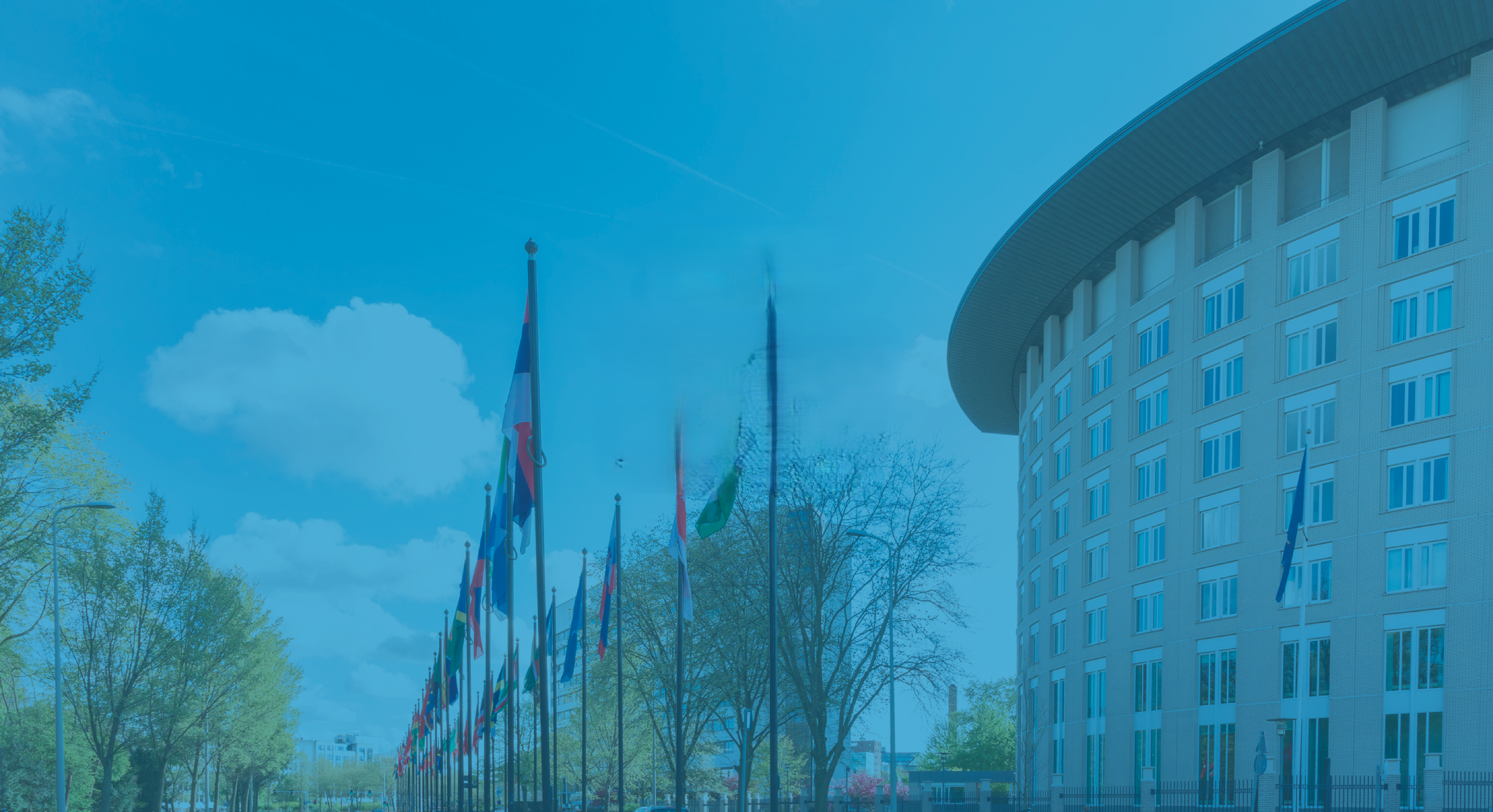History of Chemical Weapons, the Chemical Weapons Convention and Introduction to the OPCW 