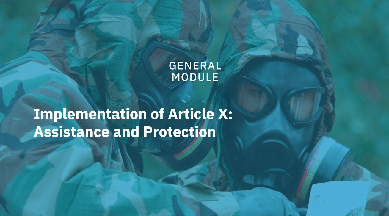 Implementation of Article X: Assistance and Protection 
