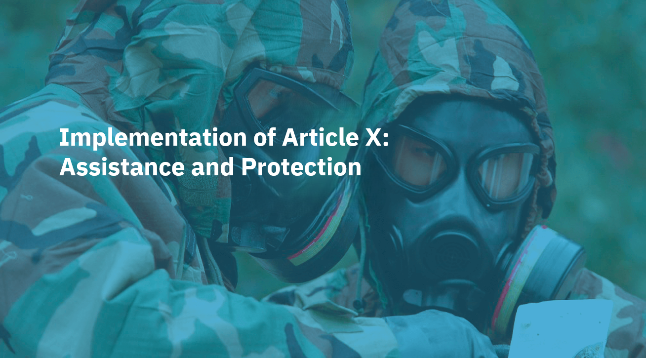 Implementation of Article X: Assistance and Protection 