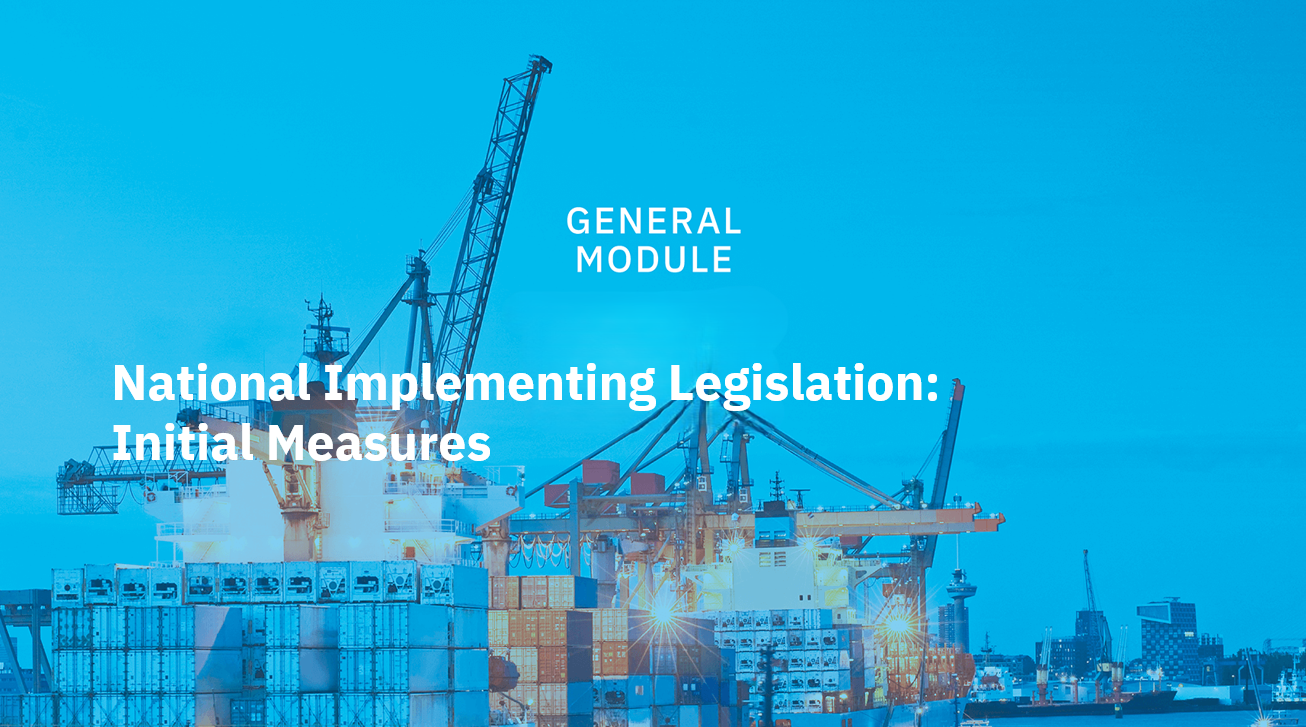 National Implementing Legislation: Initial Measures 