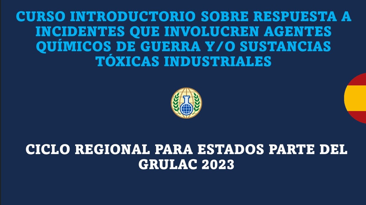 <div class="text_to_html">Curso Introductorio online - XII Ciclo Regional de Asistencia y Protección para el GRULAC. Del 9 de enero al 4 de febrero de 2024.</div>